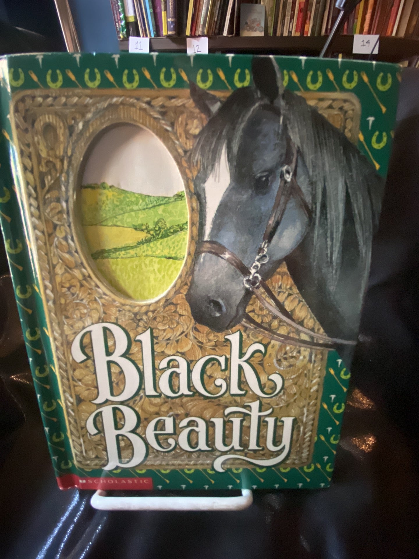 Black Beauty Keepsake