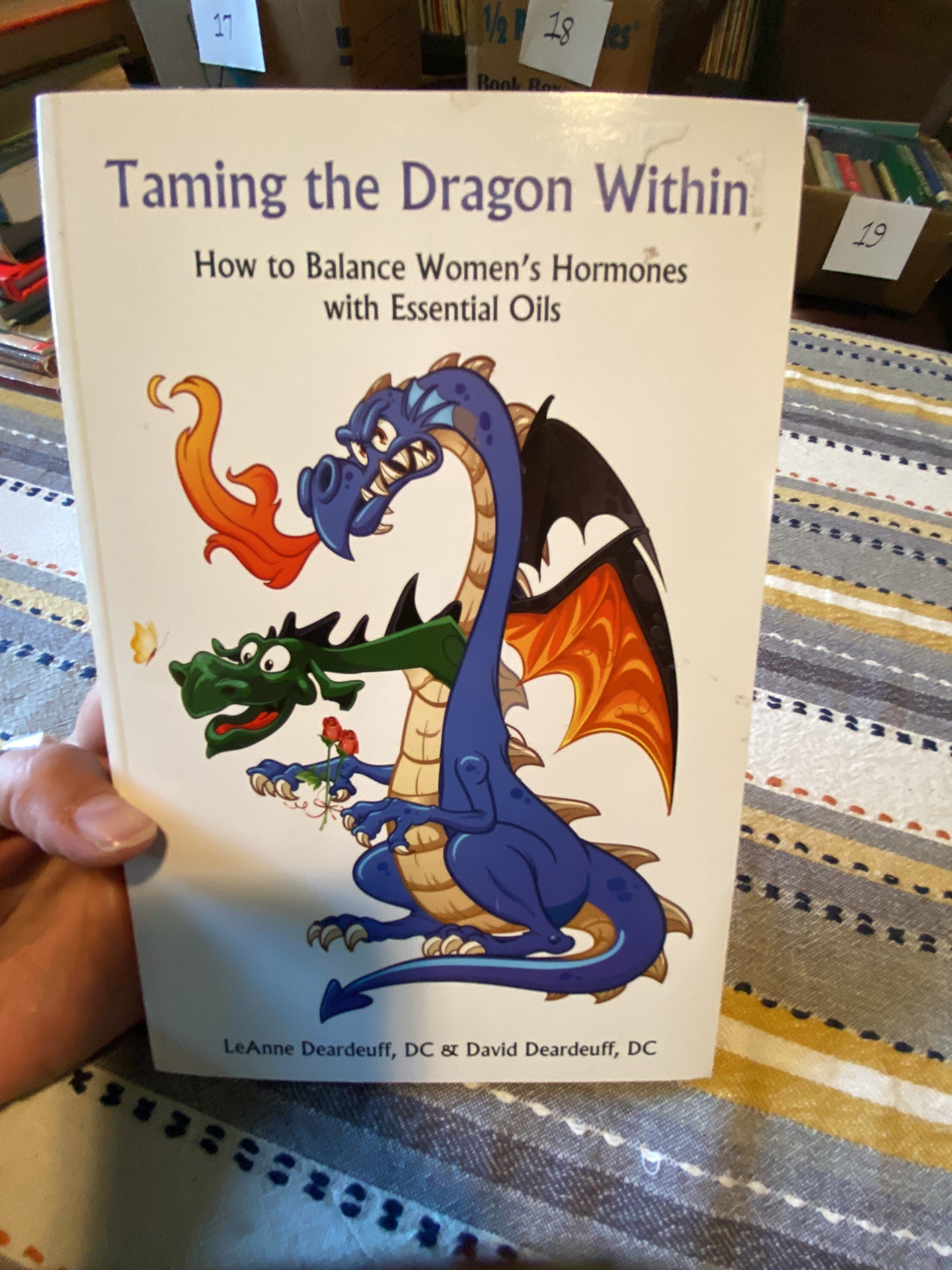 Taming the Dragon Within