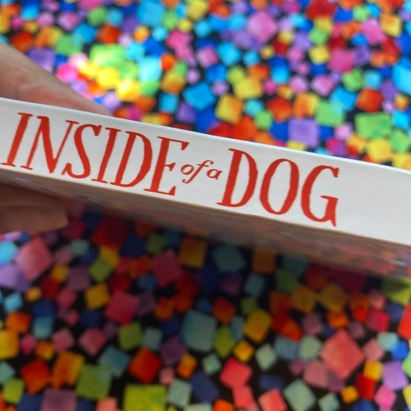 Inside of a dog