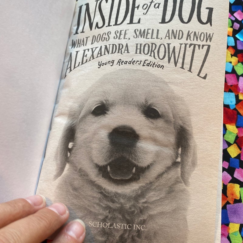 Inside of a dog