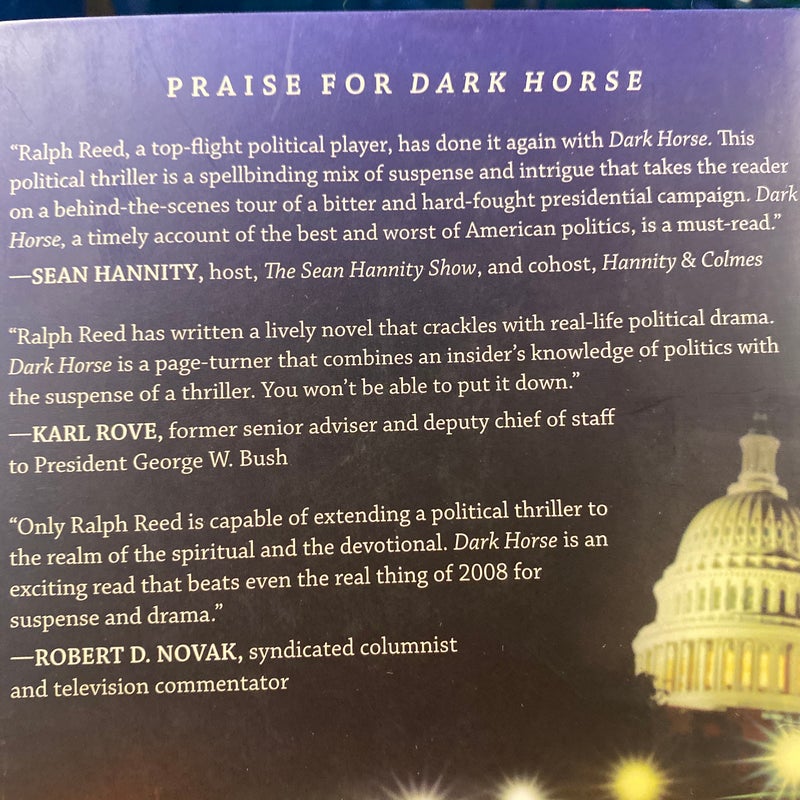 Dark Horse - A political thriller