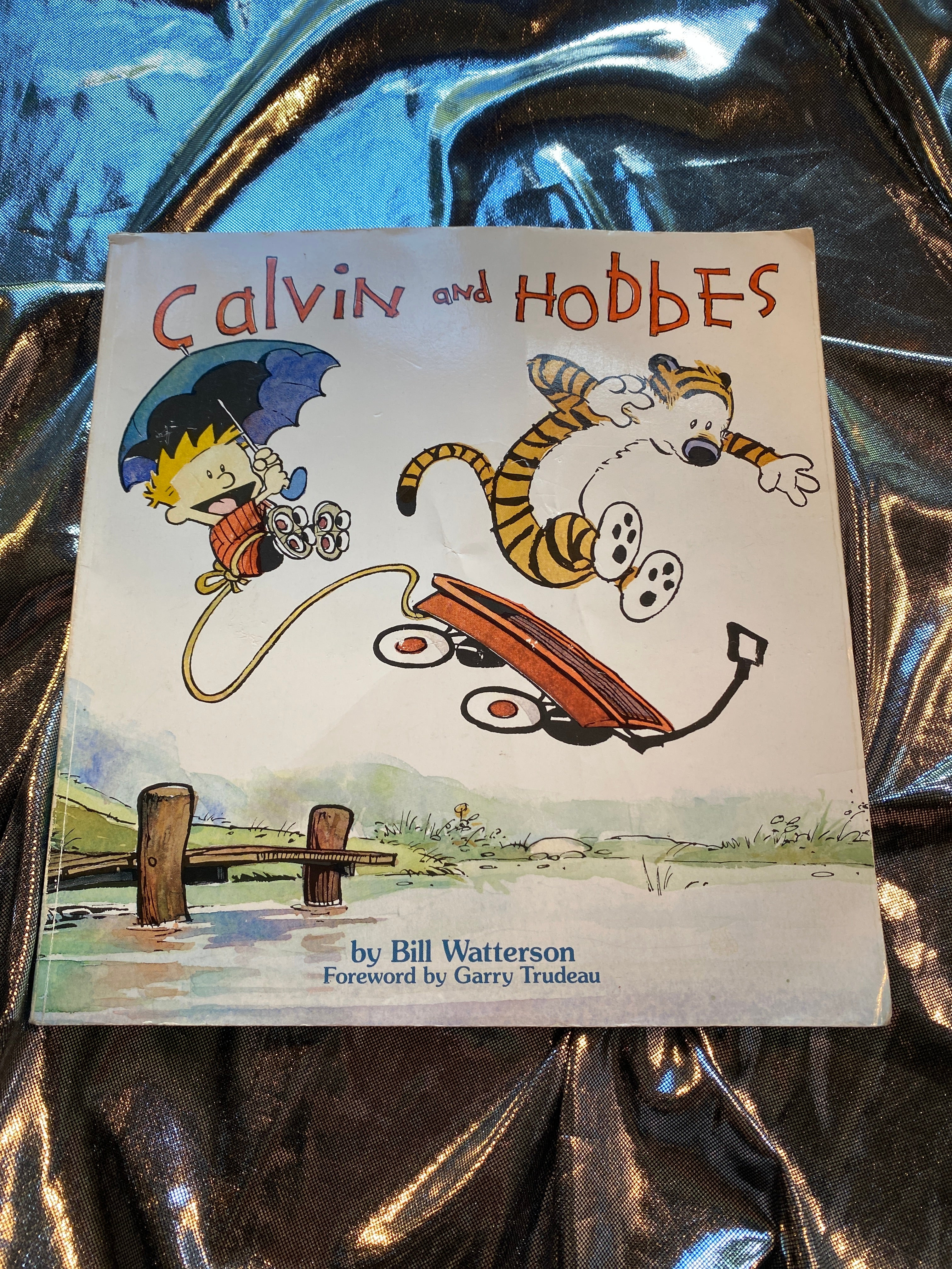 Calvin and Hobbes