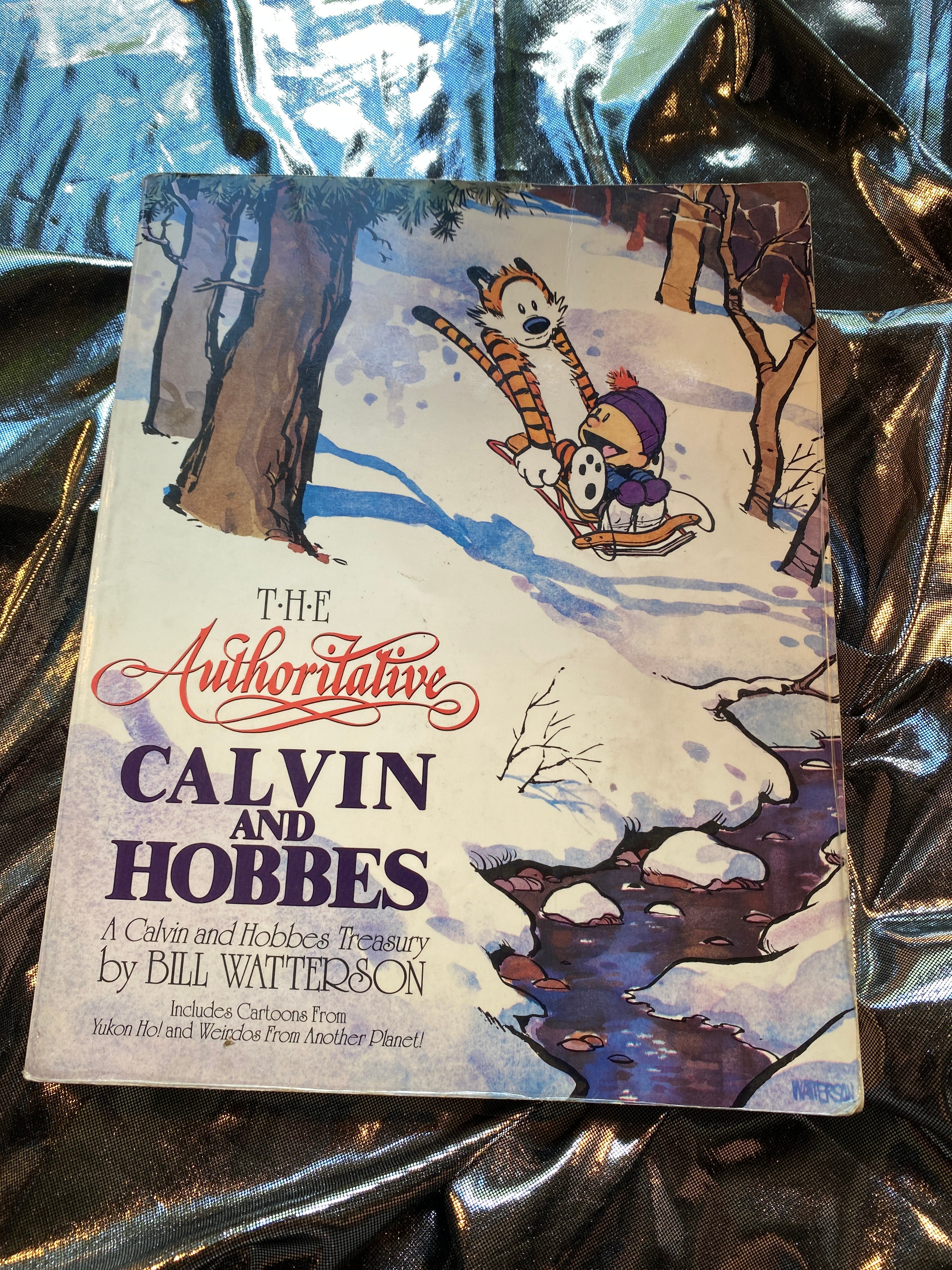 The Authoritative Calvin and Hobbes