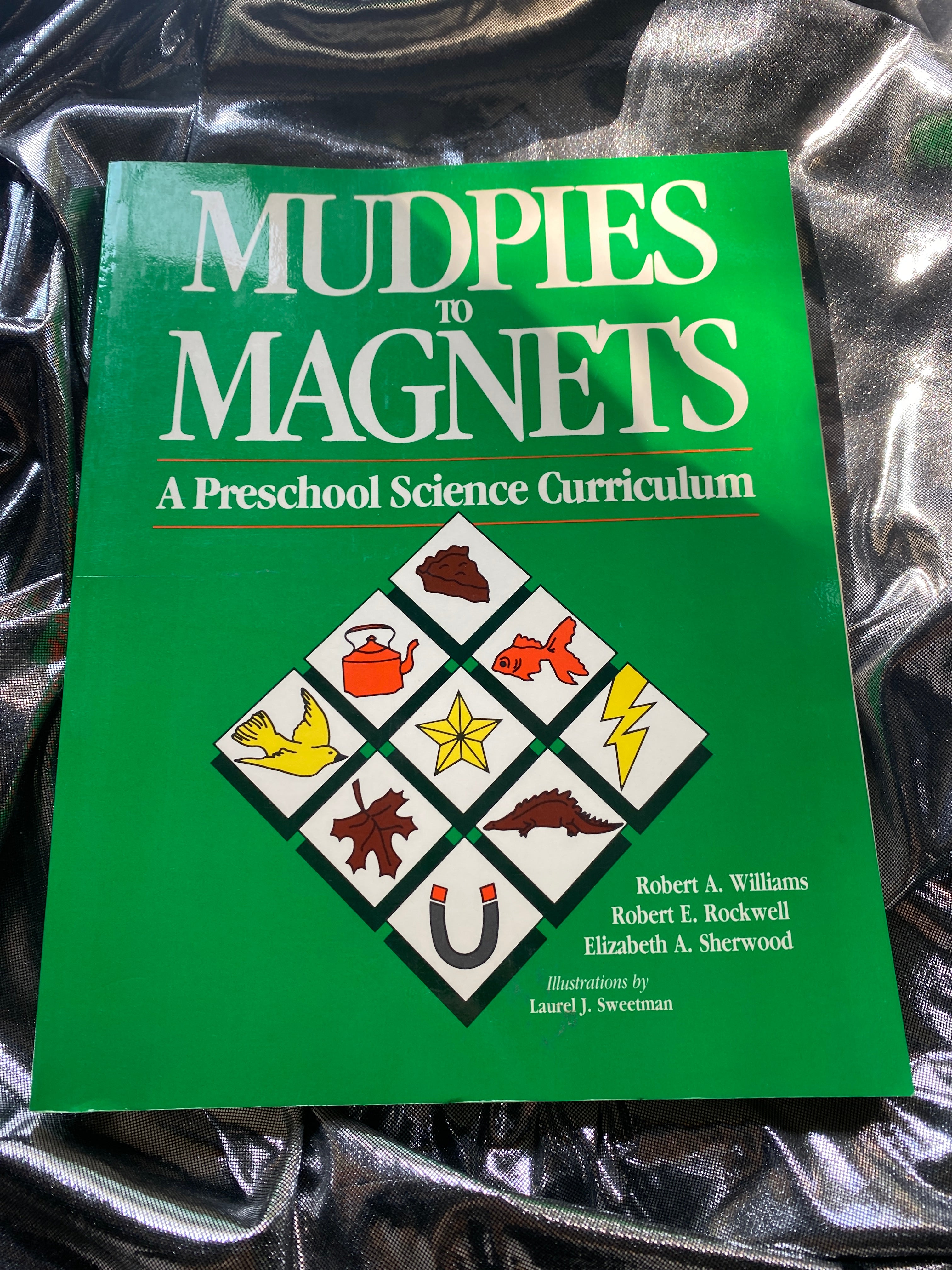 Mudpies to Magnets