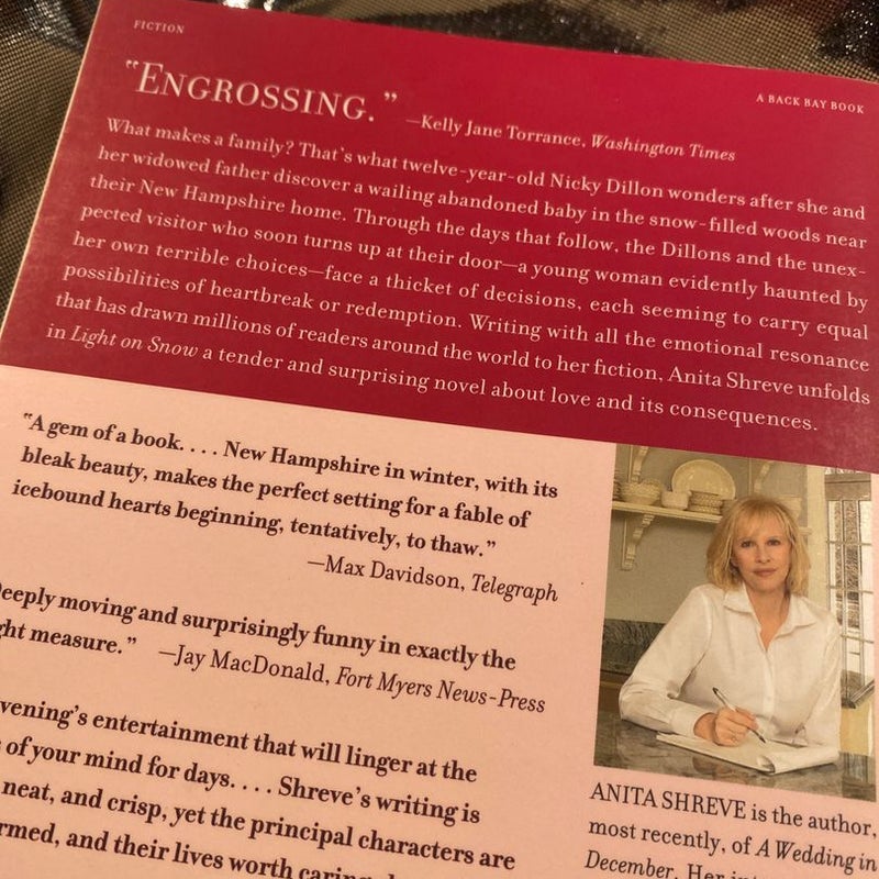 Light on Snow by Anita Shreve, Hardcover Pangobooks