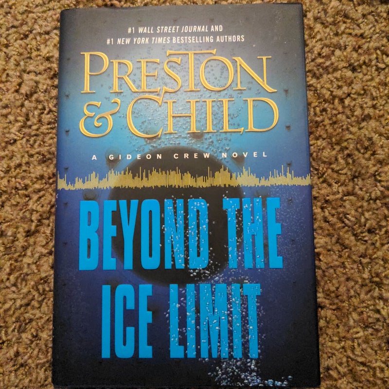 Beyond the ice limit