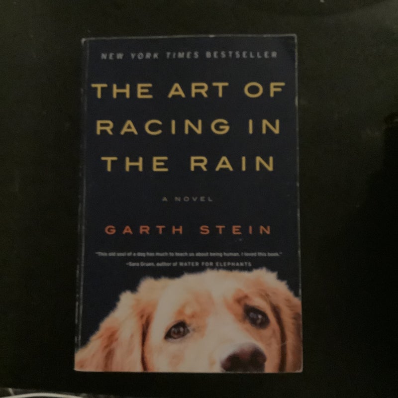 The Art of Racing in the Rain