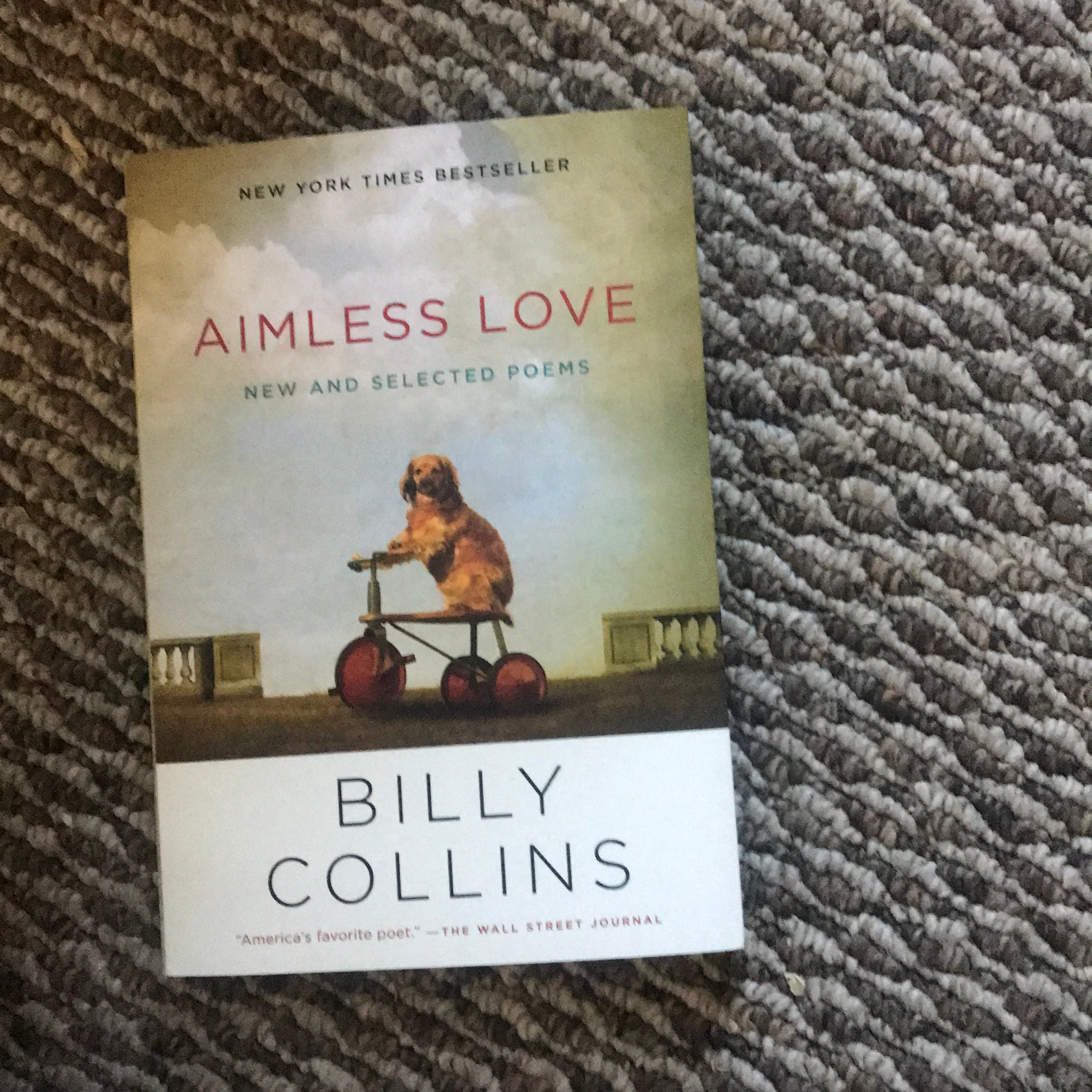 Aimless Love