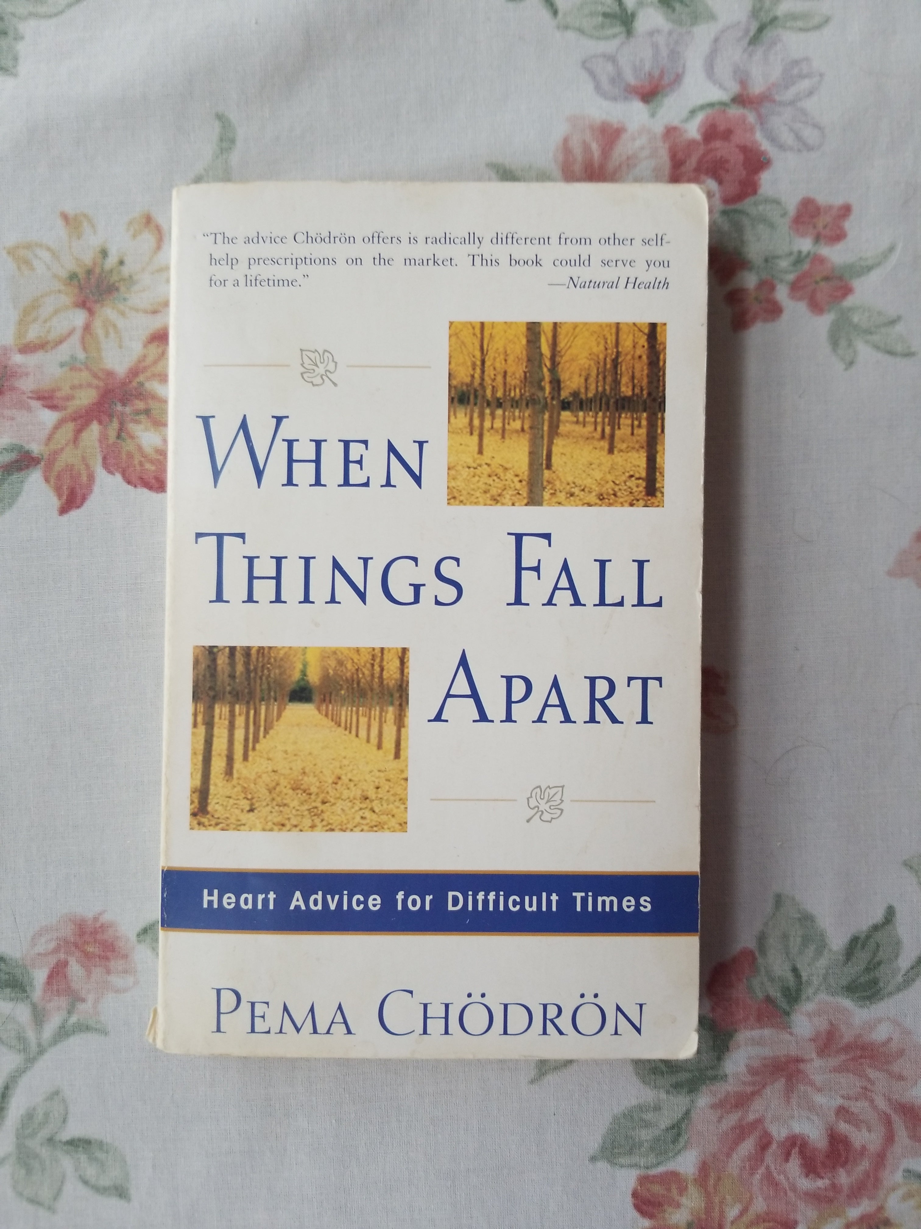 When Things Fall Apart