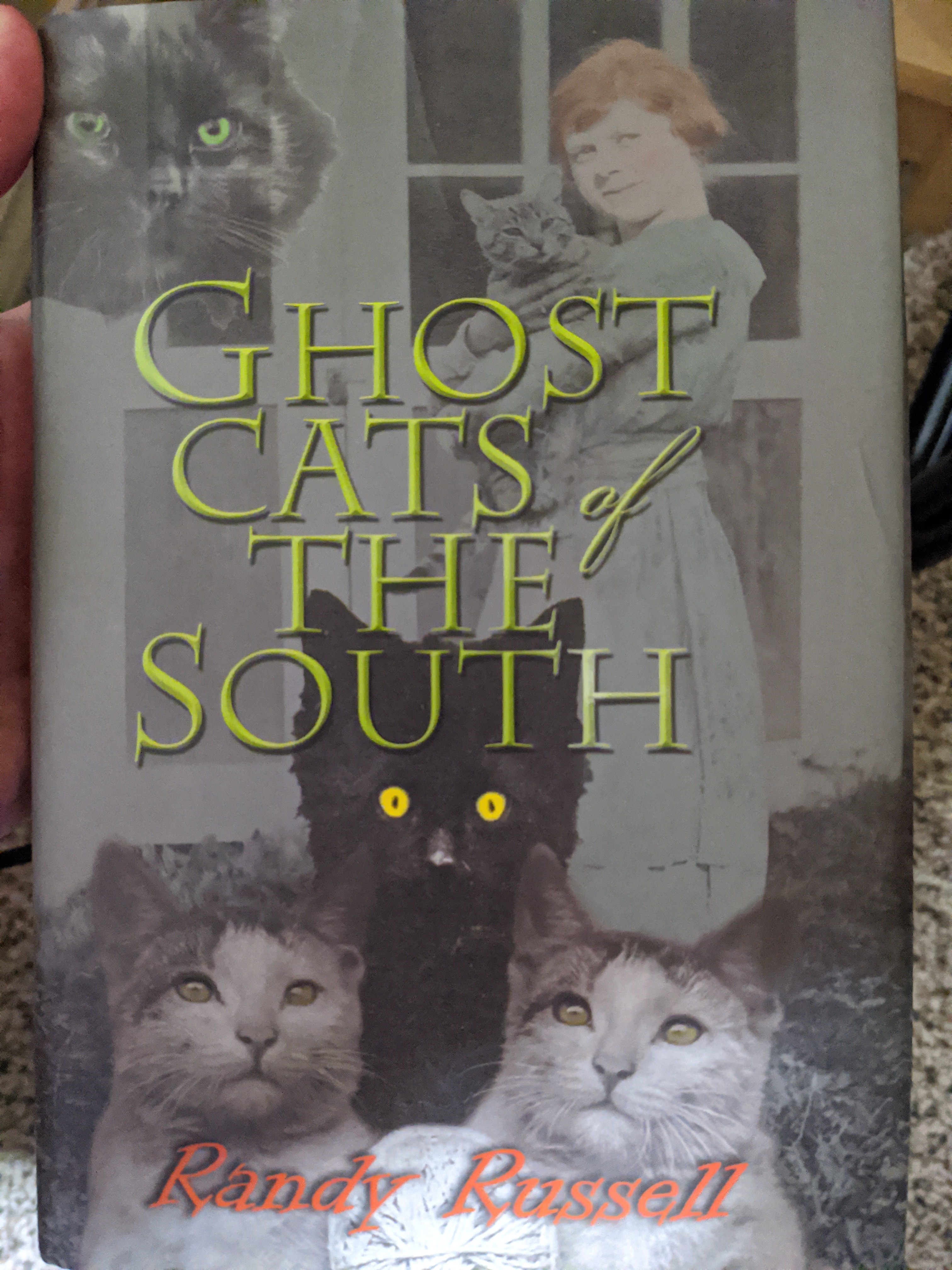 Ghost Cats of the South