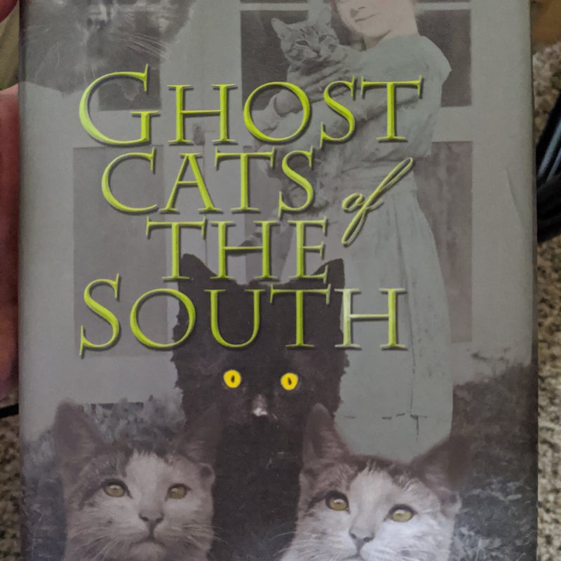 Ghost Cats of the South