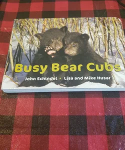 Busy Bear Cubs