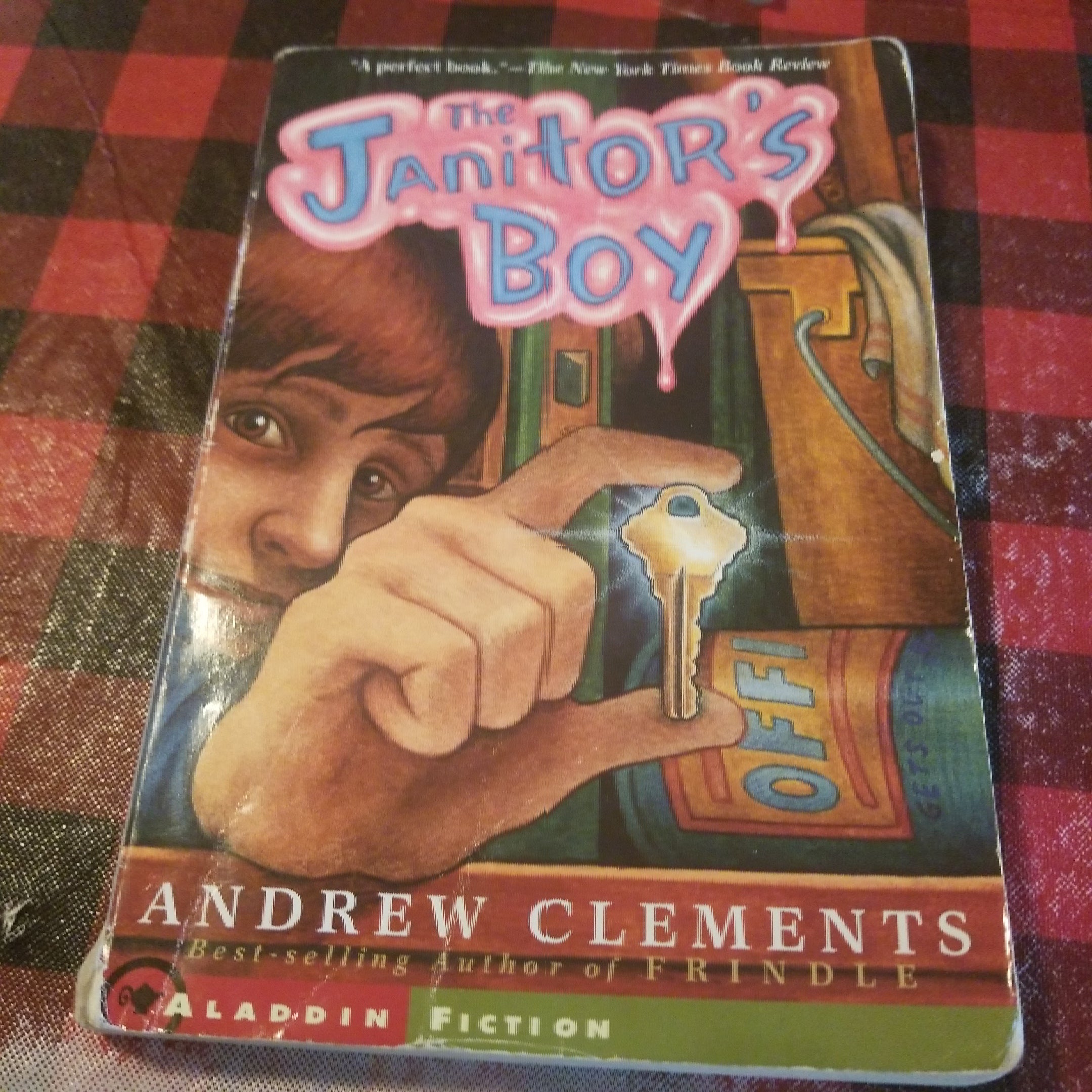 The Janitor's Boy