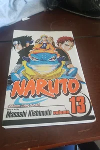 Naruto, Vol. 13