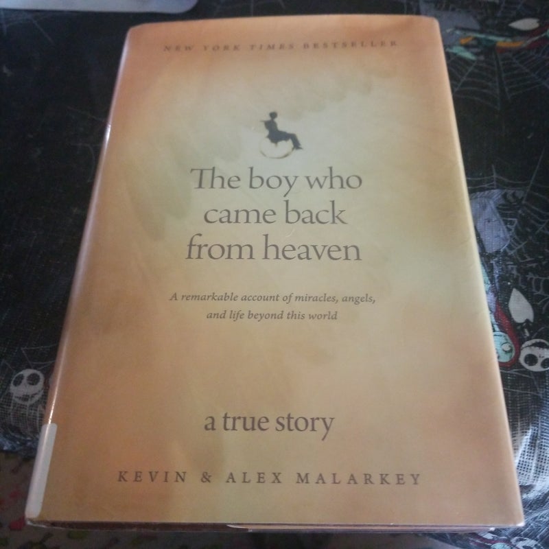 The Boy Who Came Back from Heaven