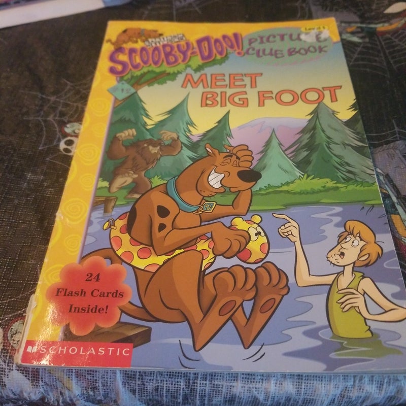 Big Foot Mystery