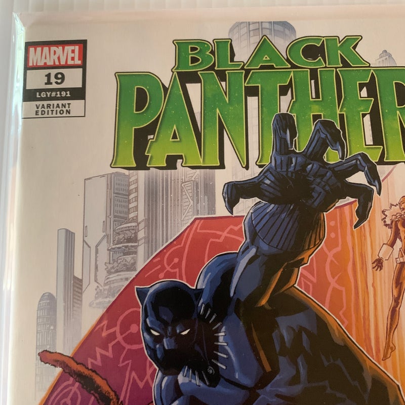 Black Panther #19