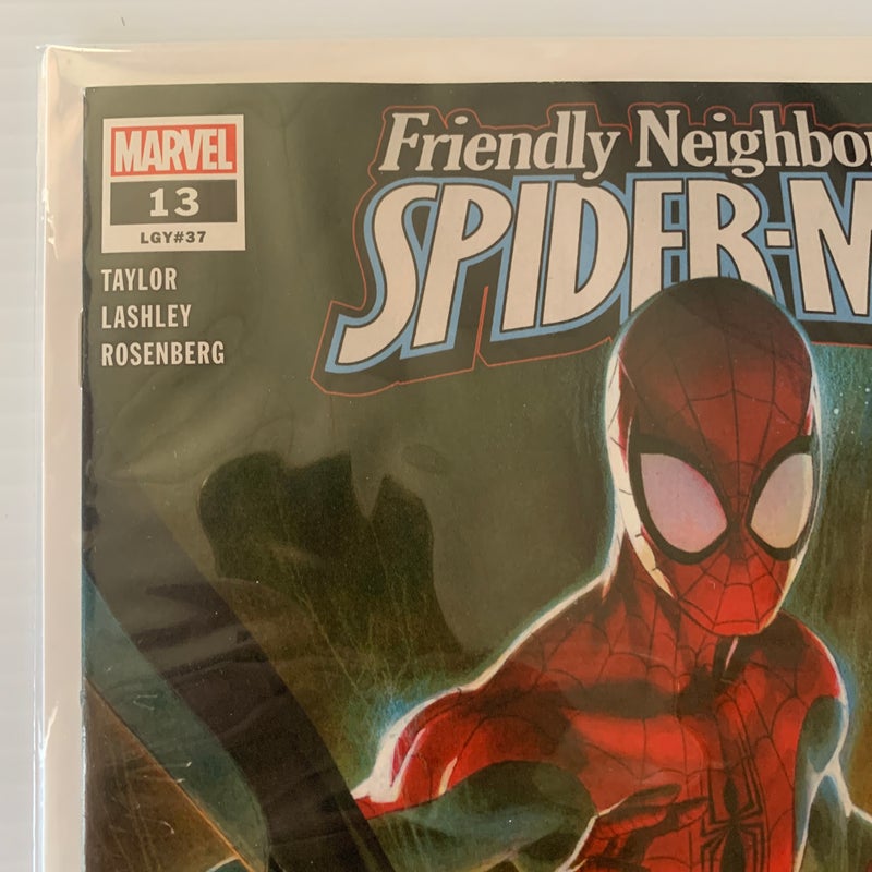 Friendly Neighborhood Spider-Man #13