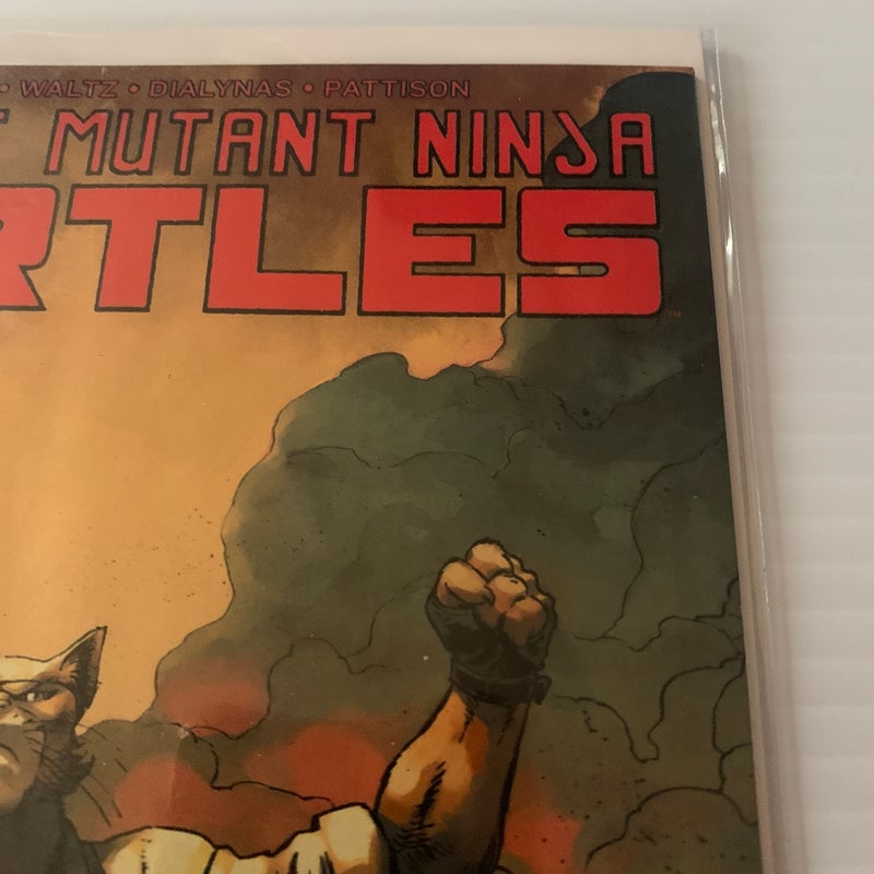 Teenage Mutant Ninja Turtles City at War #9