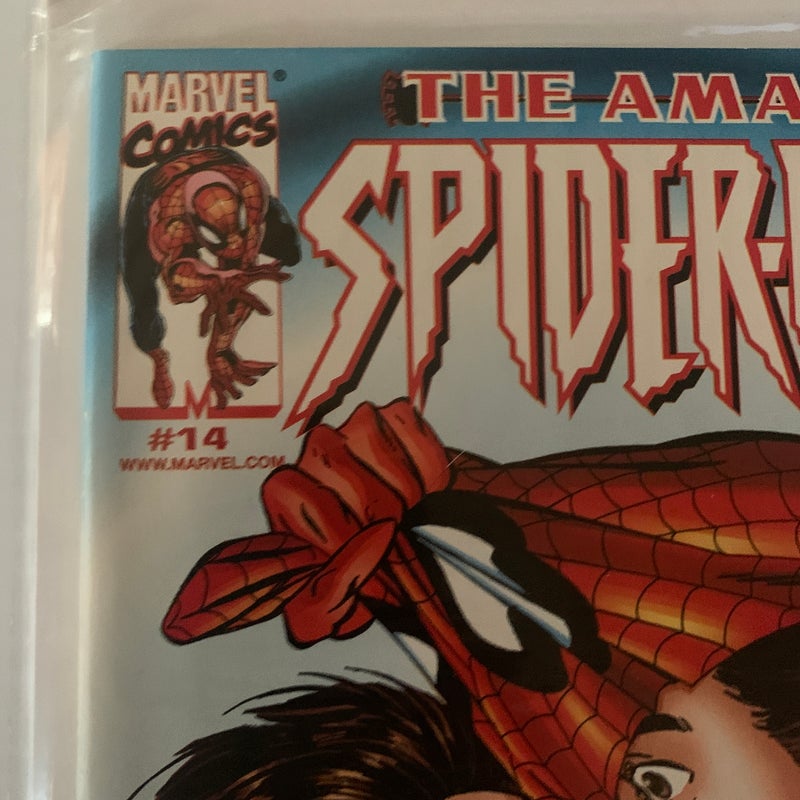 The Amazing Spider-Man #14