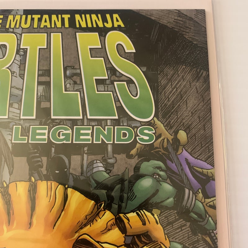 Teenage Mutant Ninja Turtles Urban Legends #21