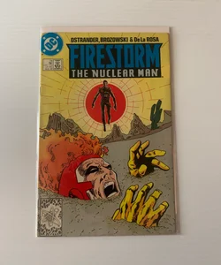 Firestorm the Nuclear Man #74