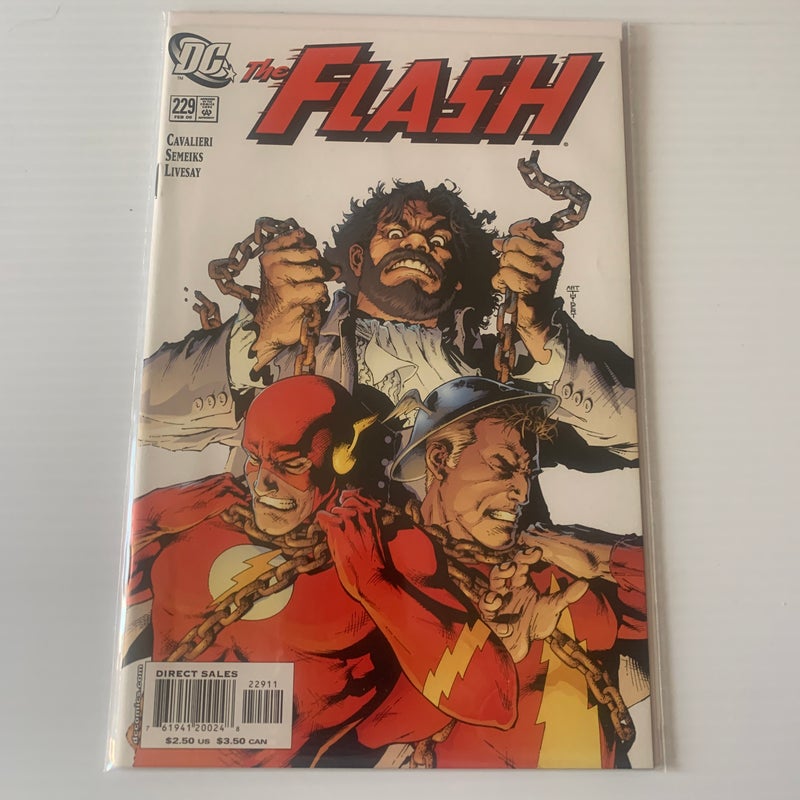 The Flash #229