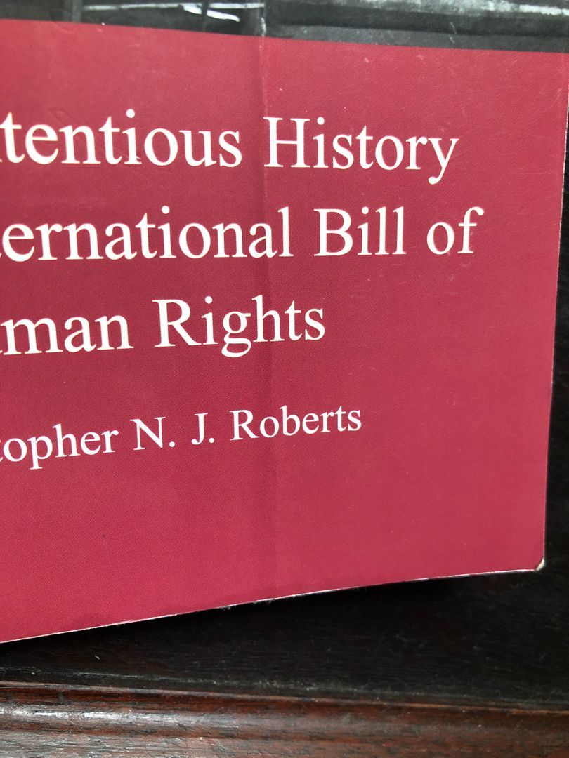 The Contentious History Of The International Bill Of Human Rights