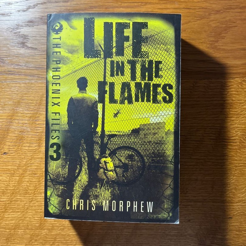 Life In The Flames