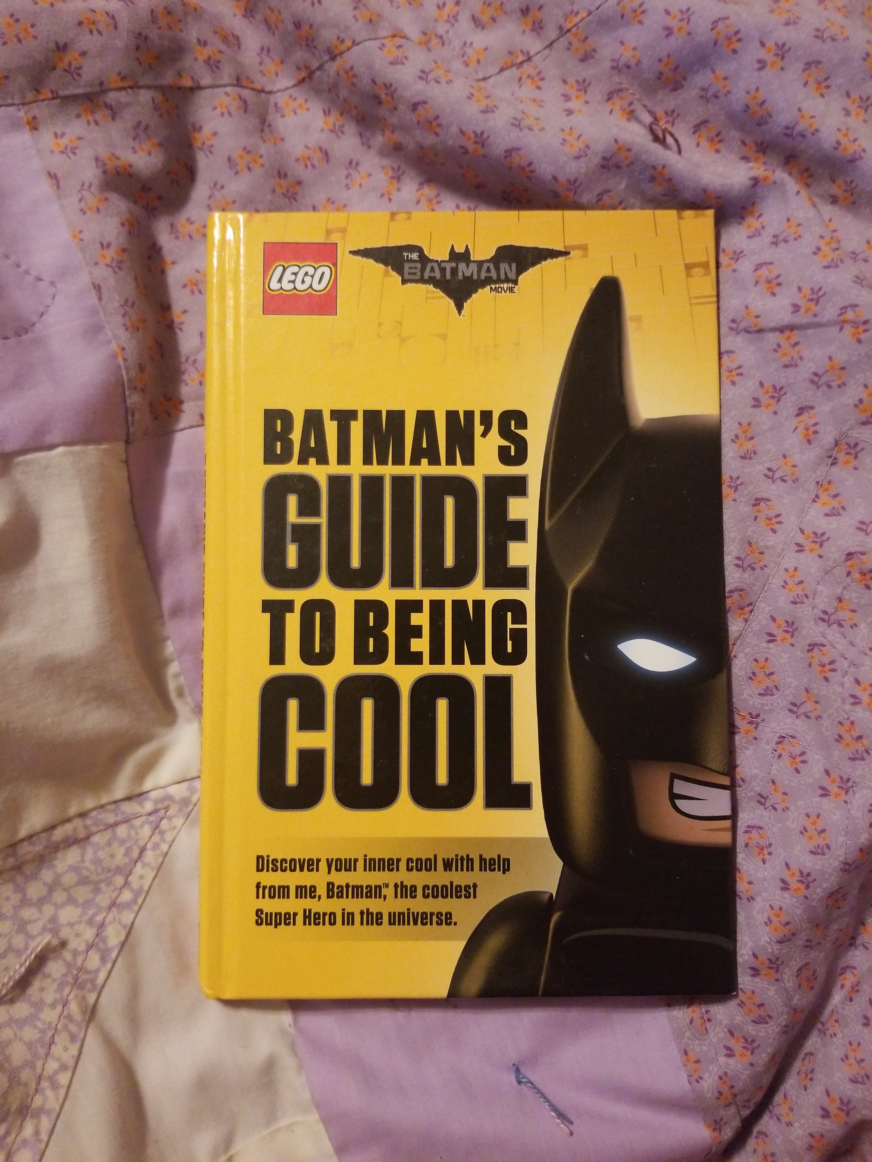 Batman's Guide to Being Cool