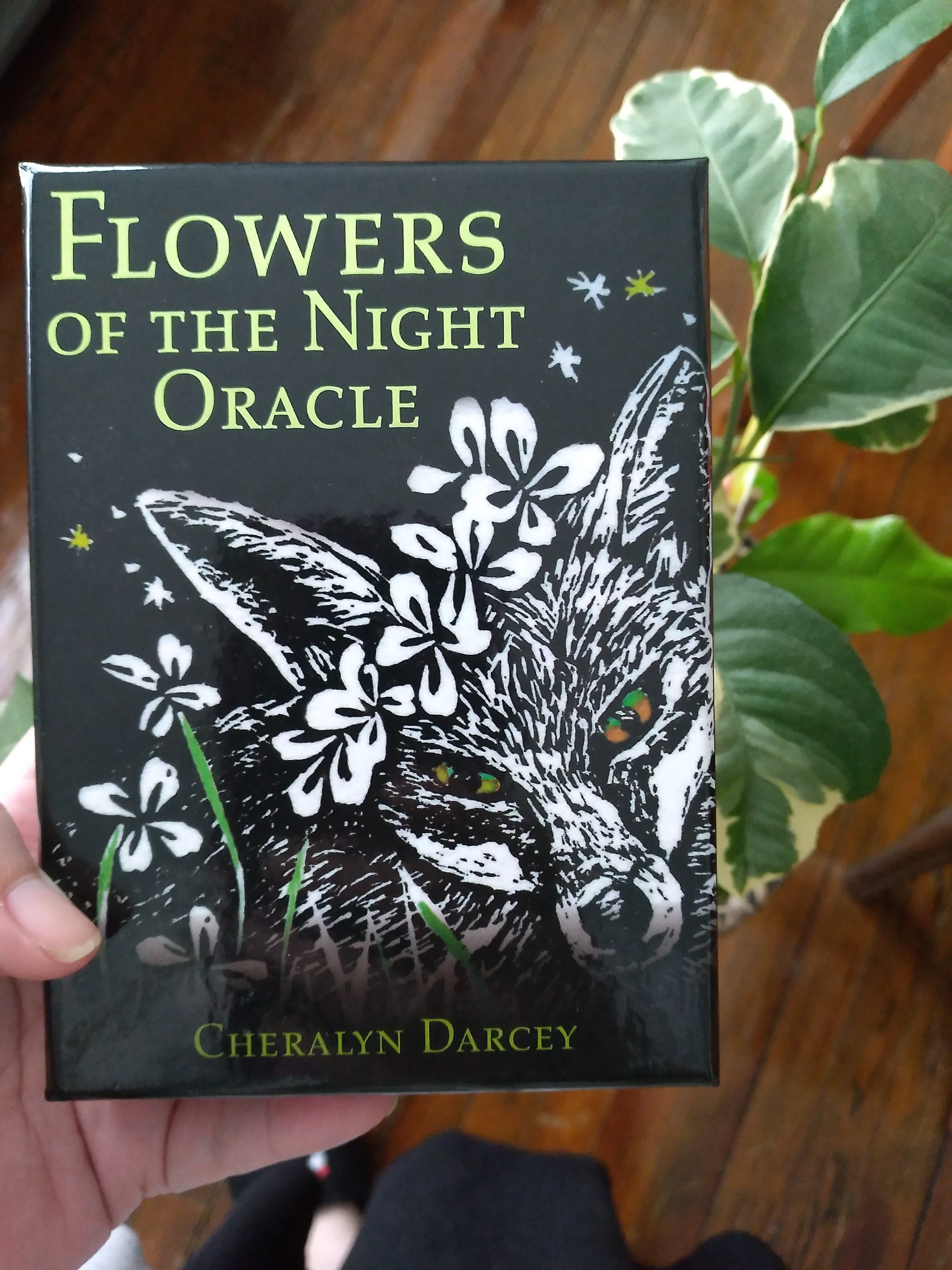 Flowers of the Night Oracle