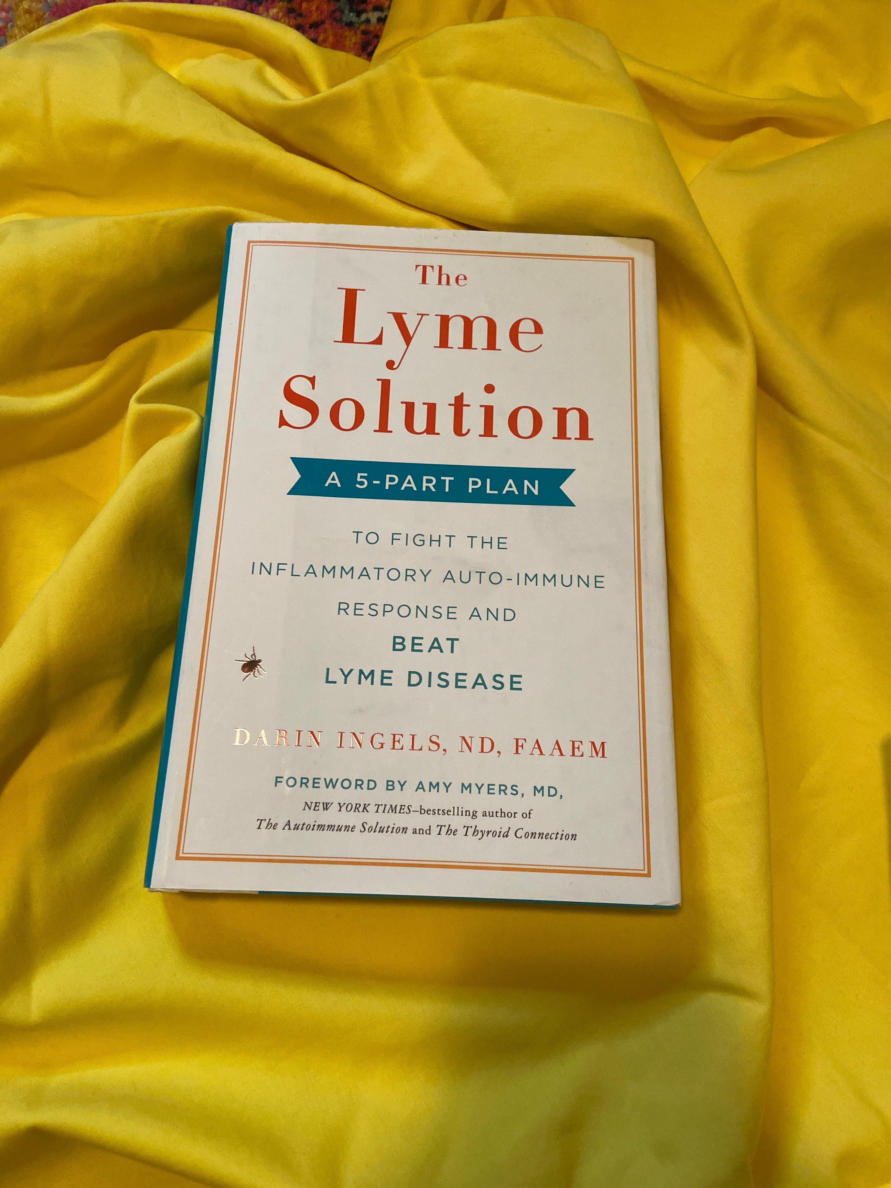 The Lyme Solution