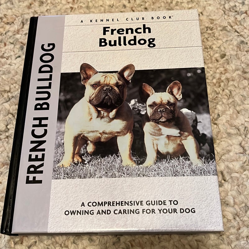 French Bulldog 