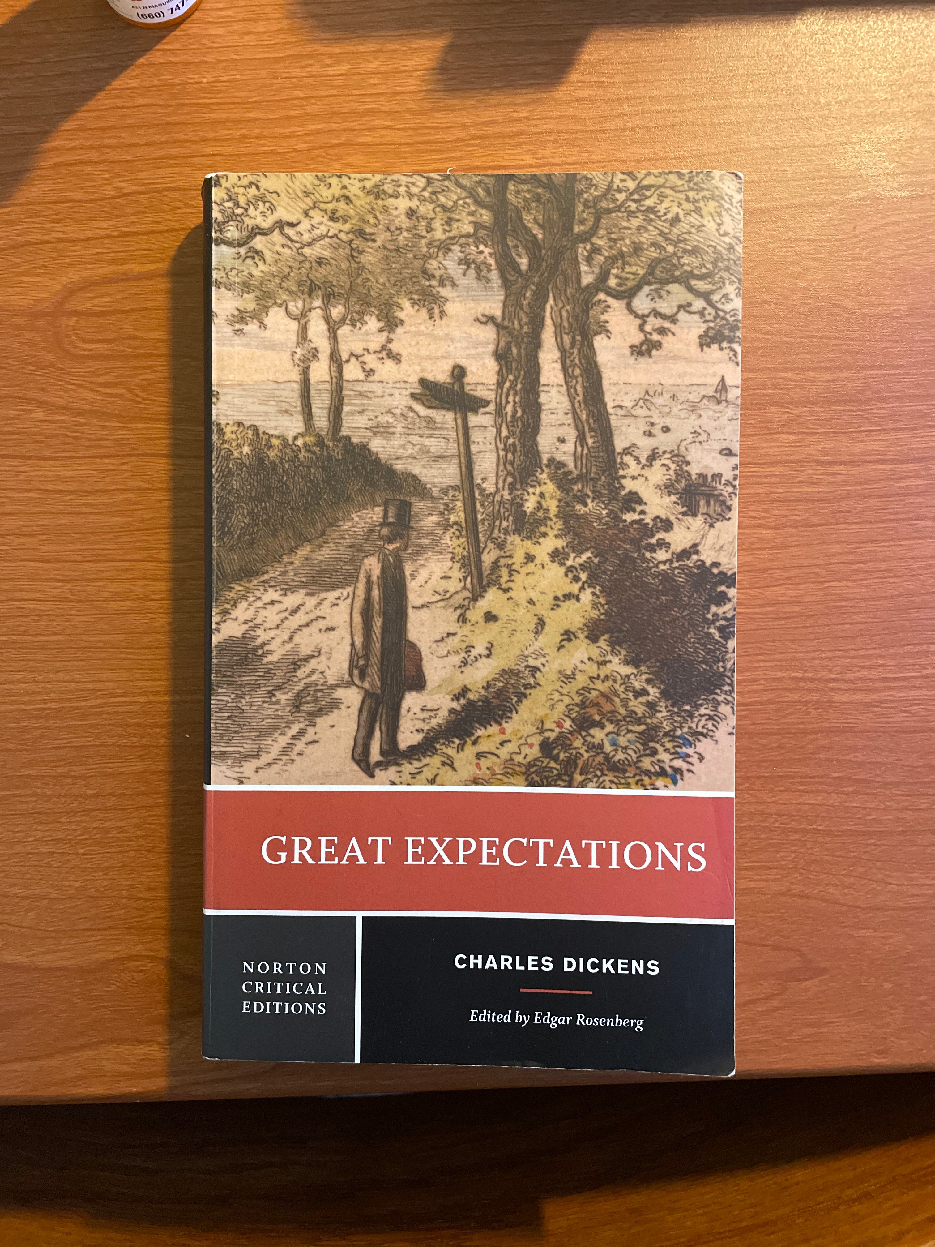 Great Expectations