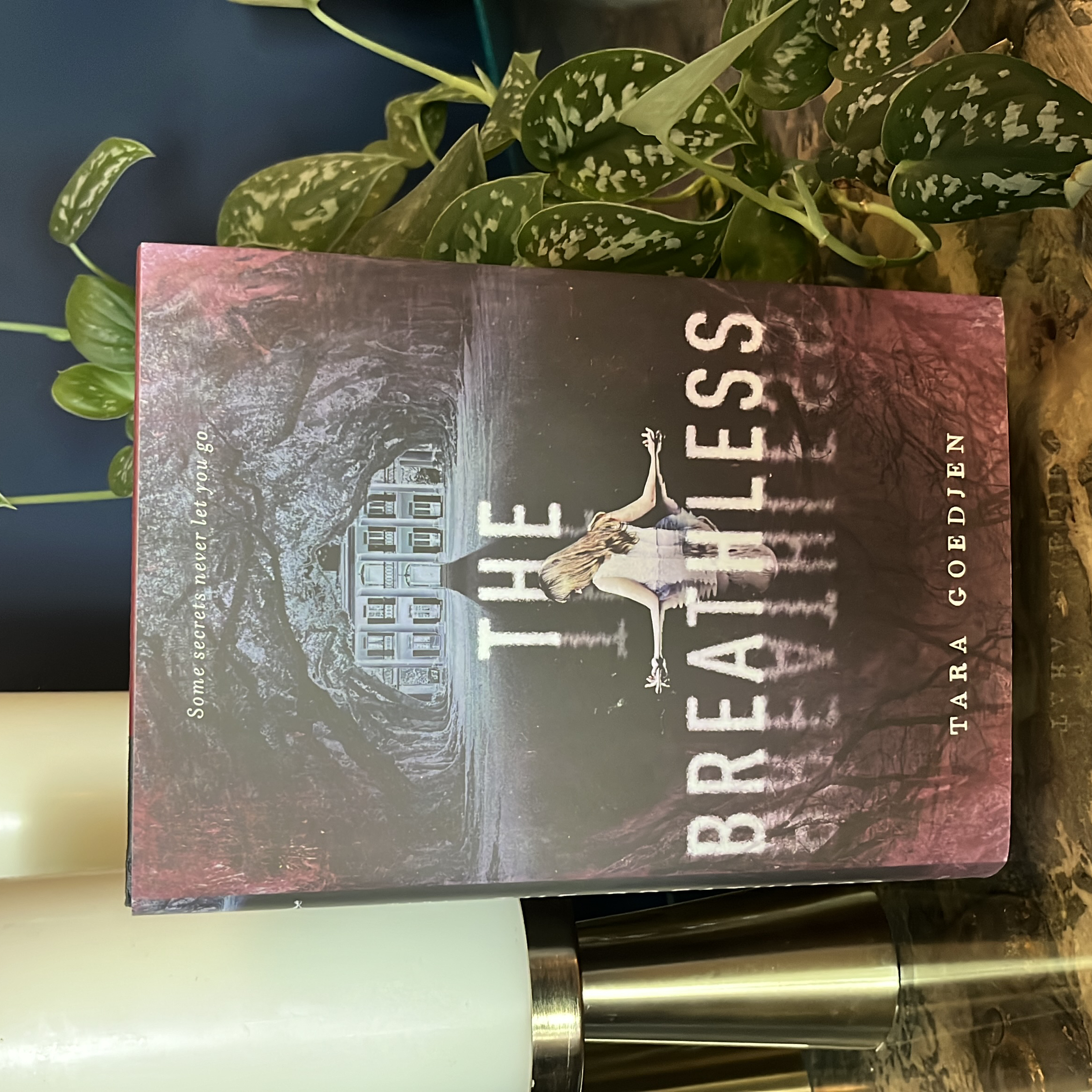 Sale image for fc45a525-85c3-4b84-bbfc-882e7ced2c6a-L8UajpdcPCO9in9JwPMKNGrUQzs1