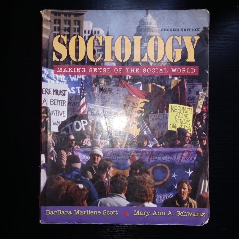 Sociology Making Sense Of The Social World