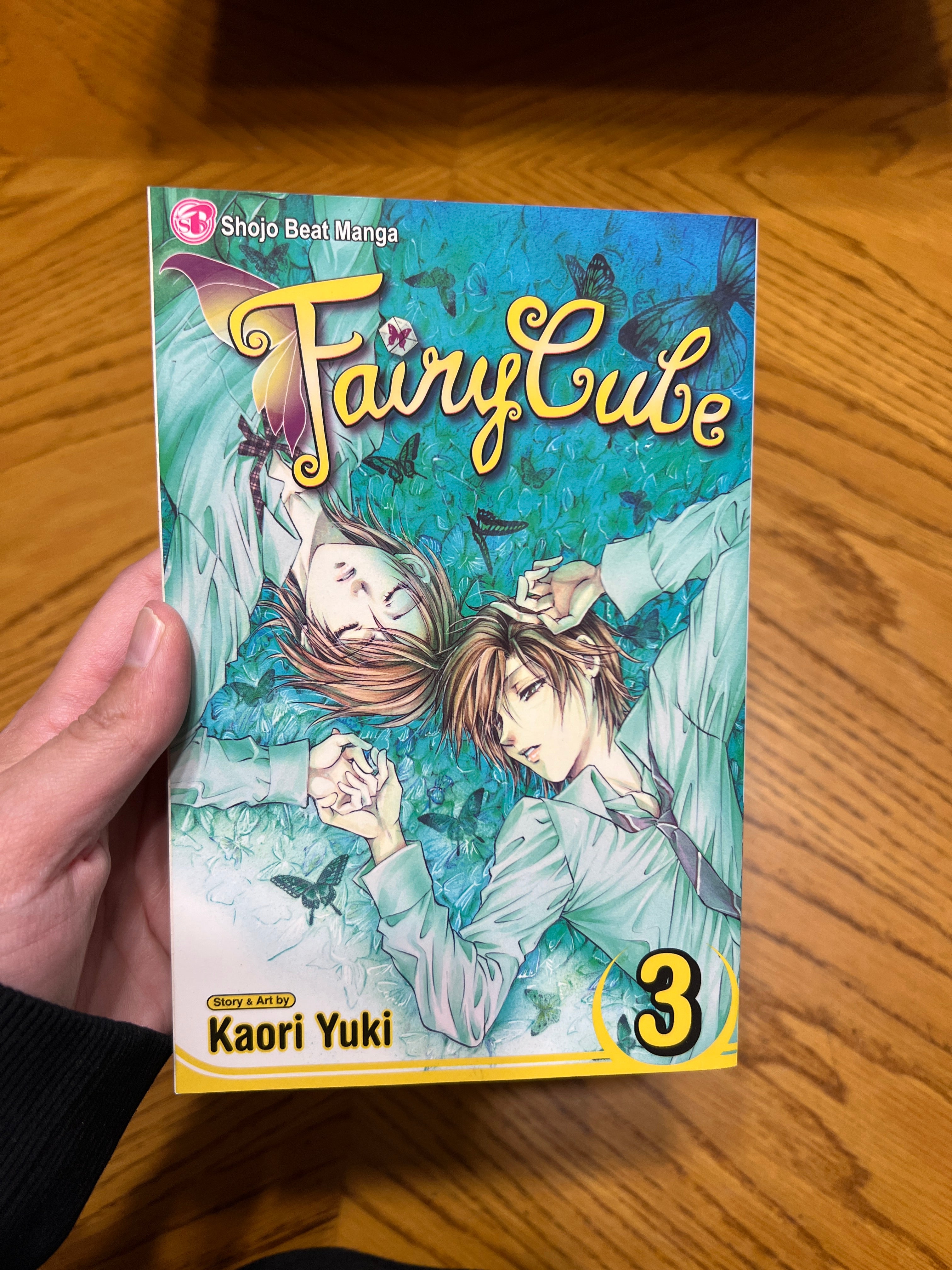 Fairy Cube, Vol. 3