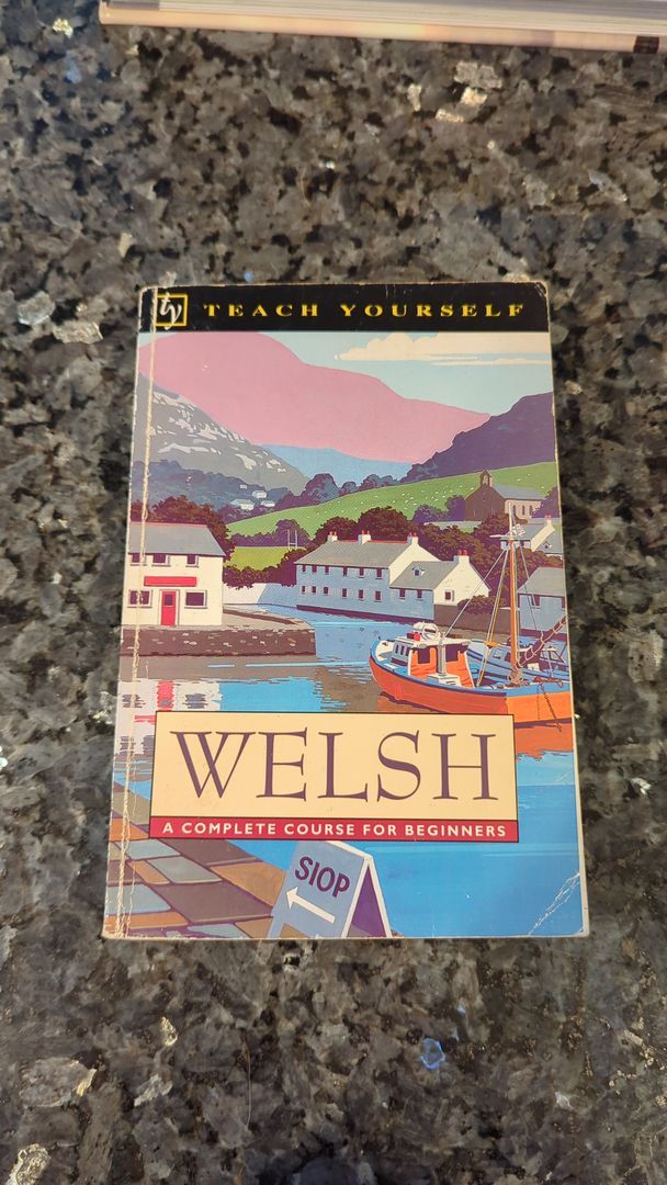 Teach Yourself Welsh