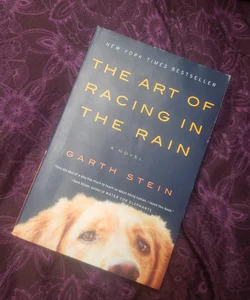 The Art of Racing in the Rain