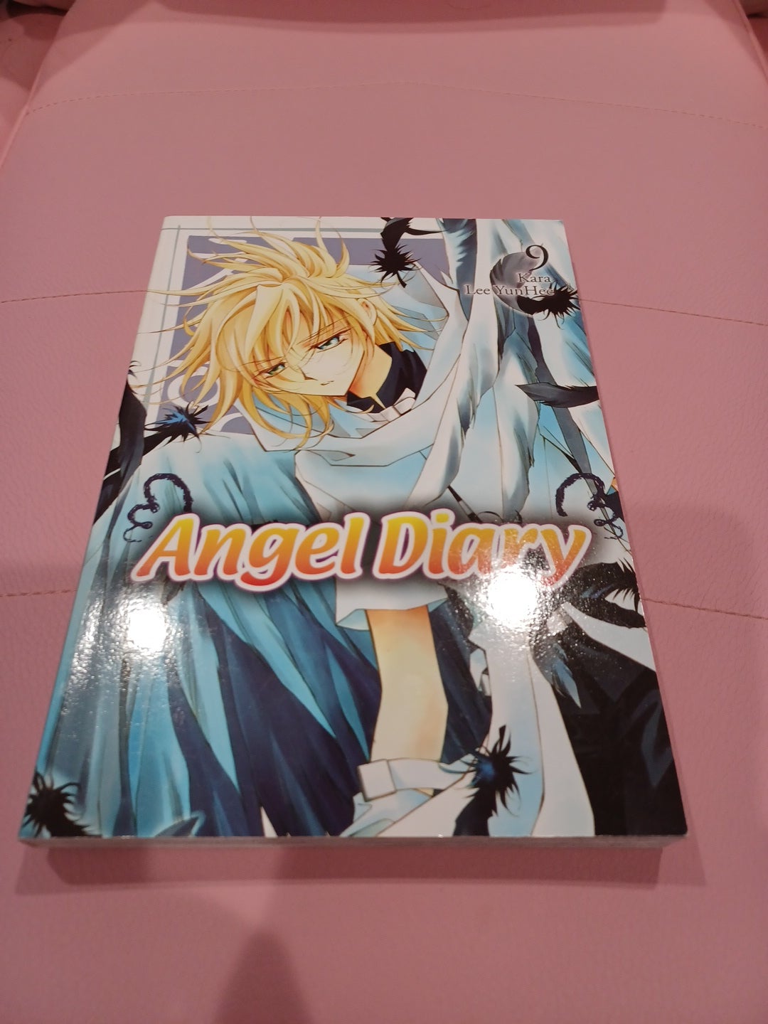 Angel Diary, Vol. 9