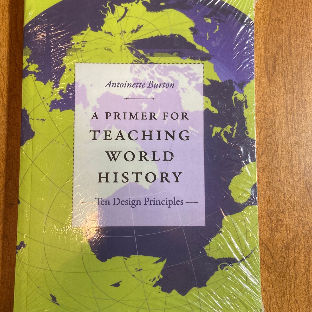 A Primer for Teaching World History by Burton, Paperback