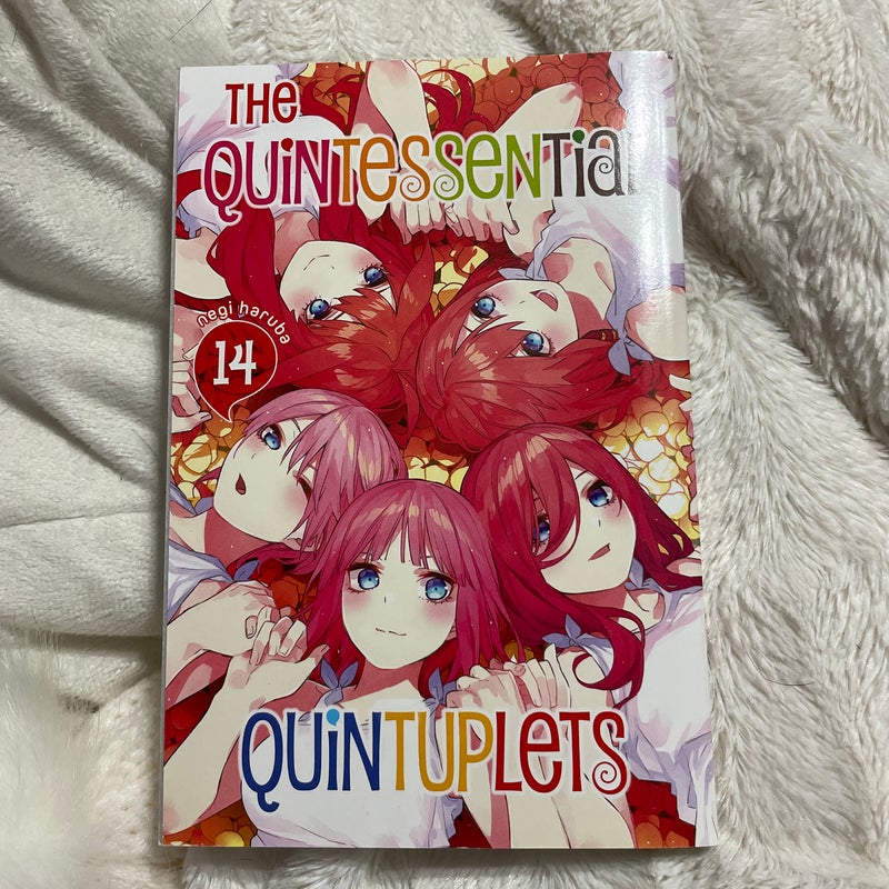 The Quintessential Quintuplets 14