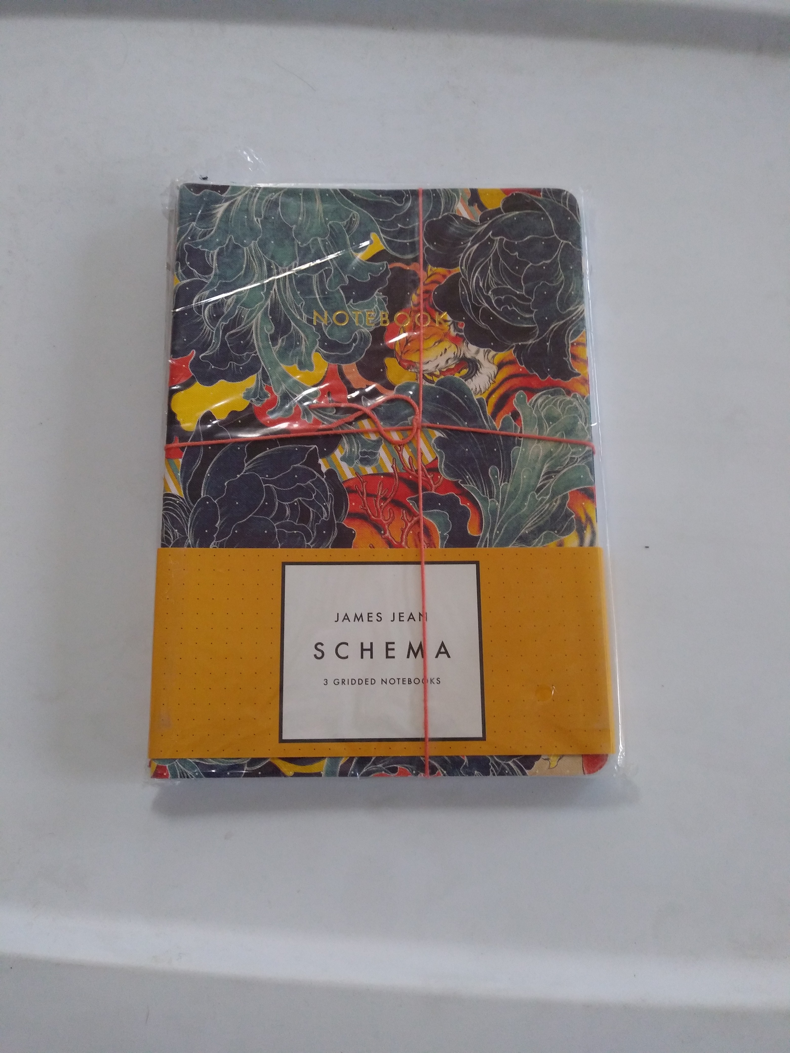 James Jean: Schema Notebook Collection (Notebooks for Designers, Gridded Notebook Sets, Artist Notebooks)