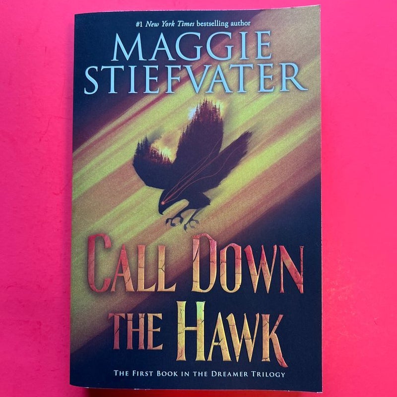 Call down the Hawk (the Dreamer Trilogy, Book 1)