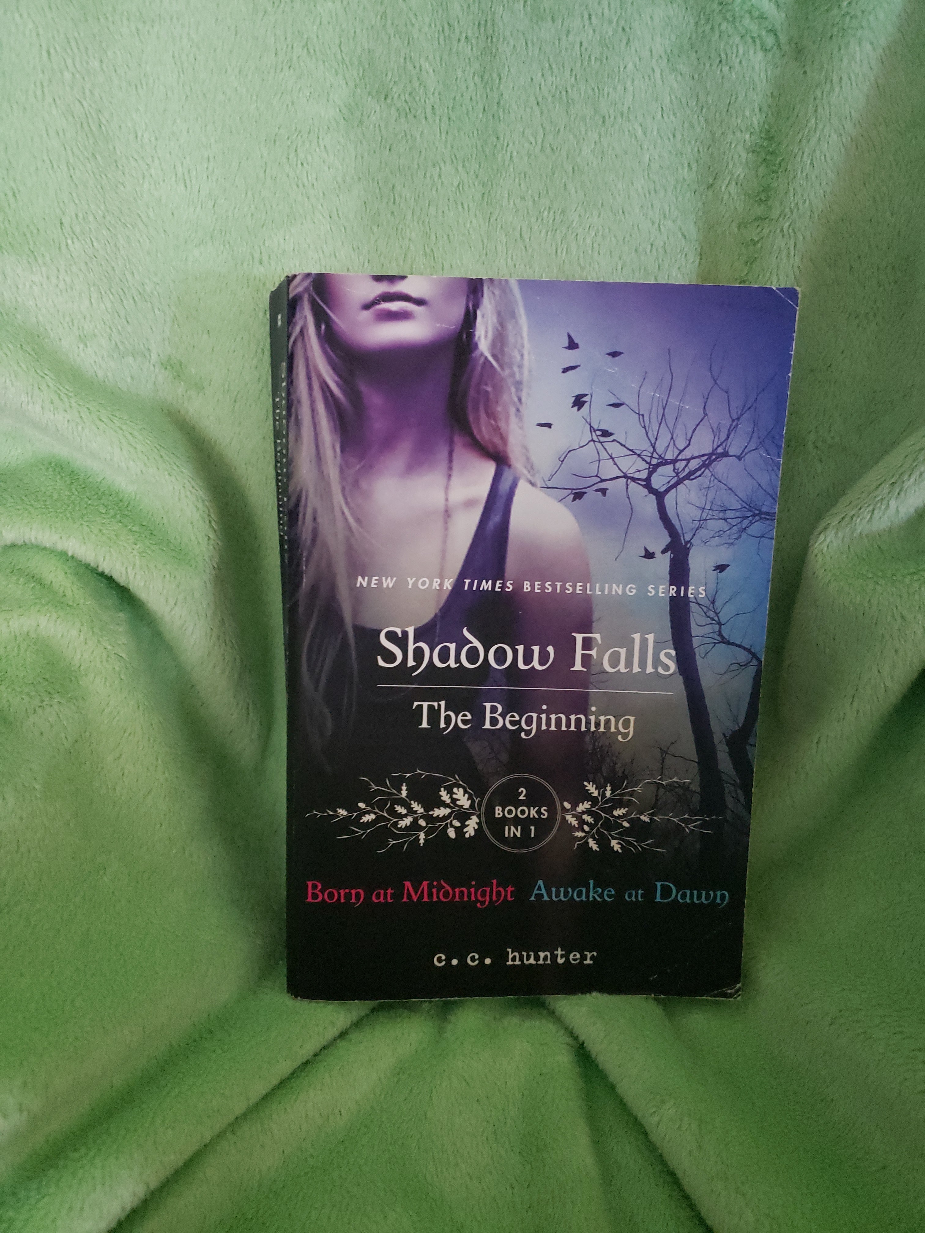 Shadow Falls: the Beginning