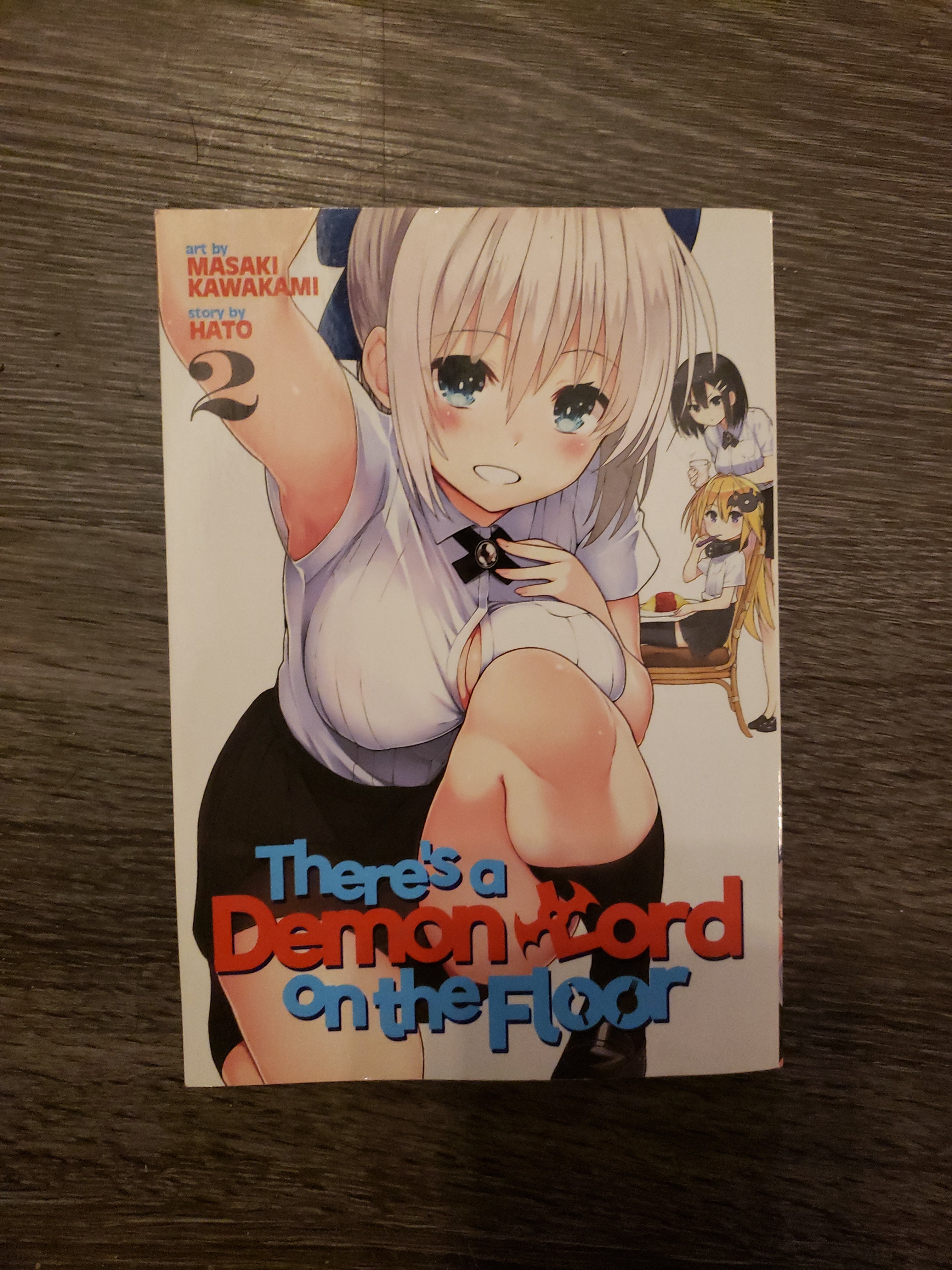 There's a Demon Lord on the Floor Vol. 2