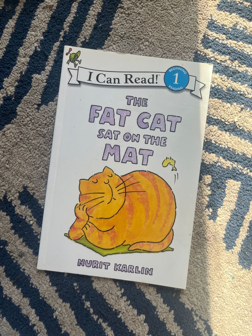 The Fat Cat Sat on the Mat