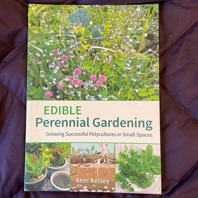 Edible Perennial Gardening by Anni Kelsey, Paperback Pango Books