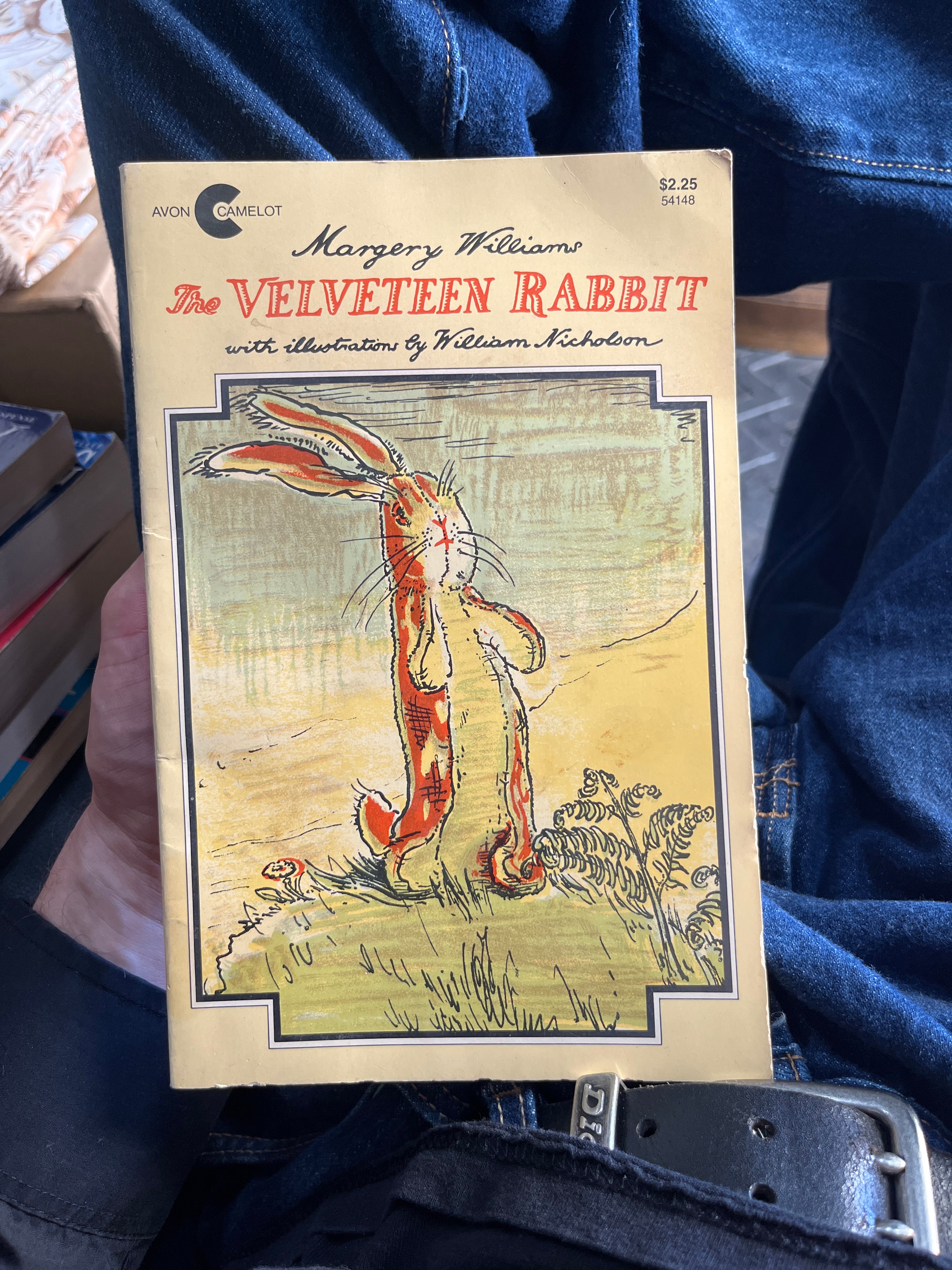 The Velveteen Rabbit