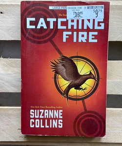 Catching Fire (LARGE PRINT)